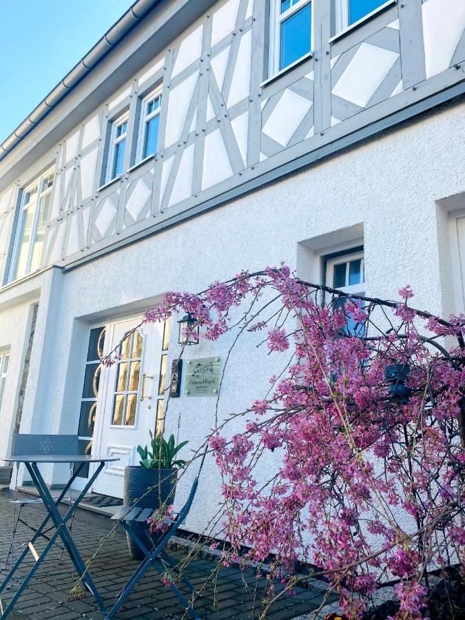Apartments Im Chateau D'Esprit Hoehr-Grenzhausen Exterior photo